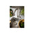 Abode Sway Single Lever Mixer Tap - St/Steel Image 4
